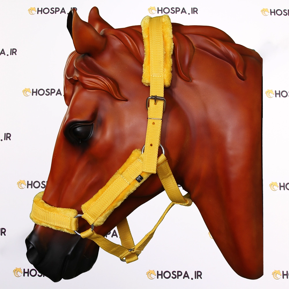 کله-گیر-خزدار-اسب-زرد
