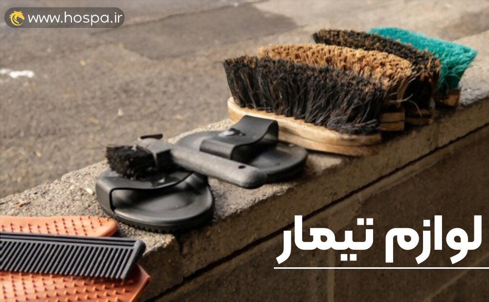 خرید لوازم تیمار اسب | هوسپا