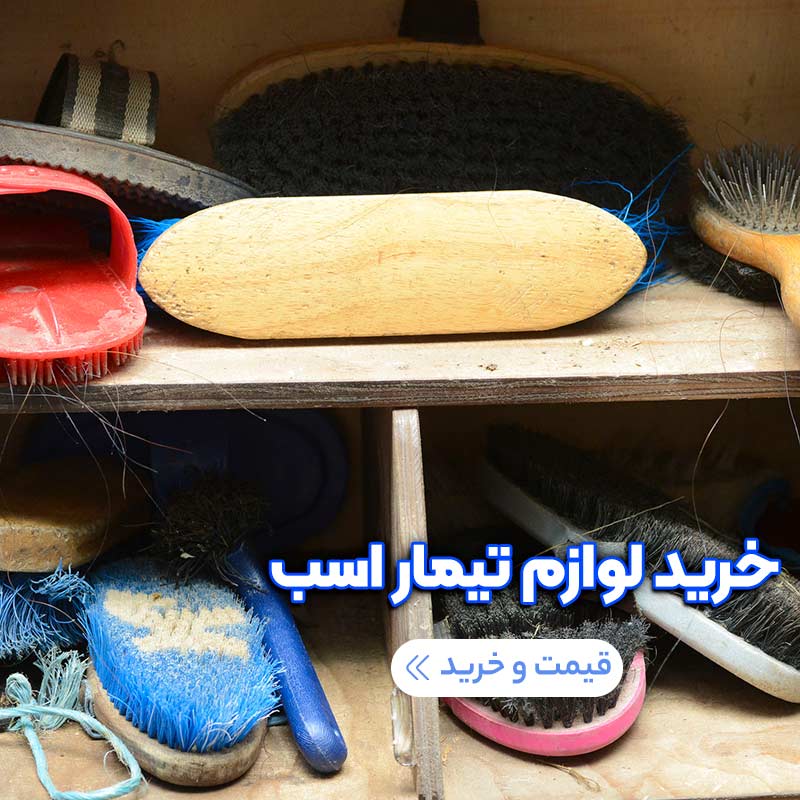 خرید لوازم تیمار اسب