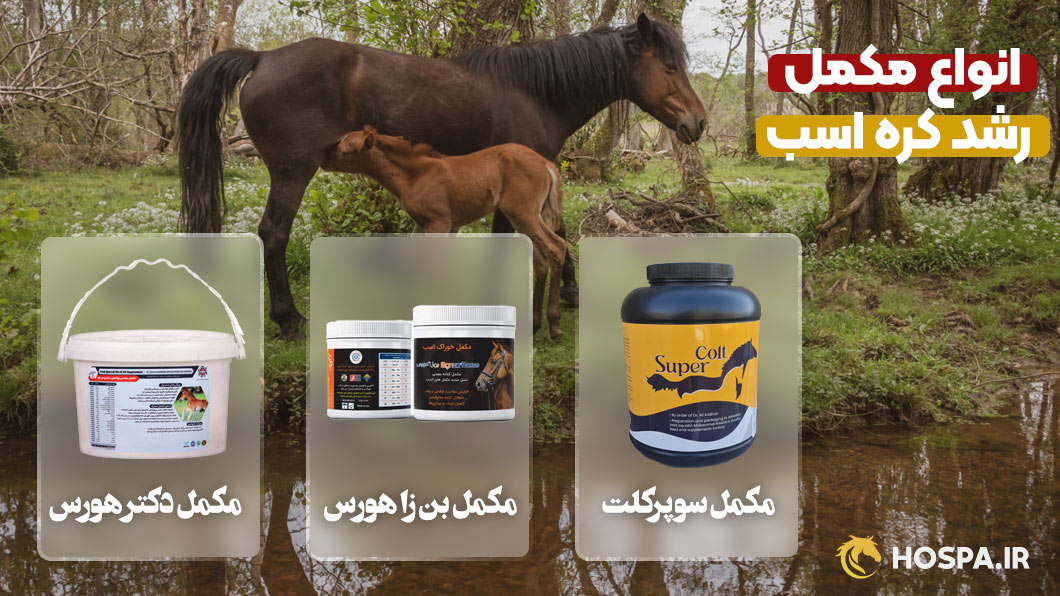 خرید مکمل رشد کره اسب ایرانی