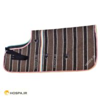 جل زمستانه اسب نمدی