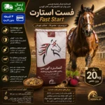 کنسانتره آجیلی کورسی فست استارت – Fast Start