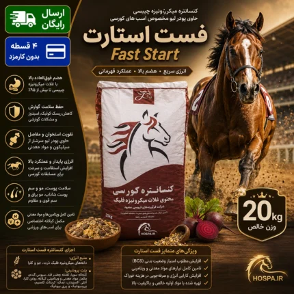 کنسانتره آجیلی کورسی فست استارت – Fast Start