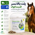 مکمل جامع با پروتیین بالا برای اسب: Pellet Balancer