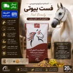 کنسانتره آجیلی زيبایی فست بیوتی – Fast Beauty