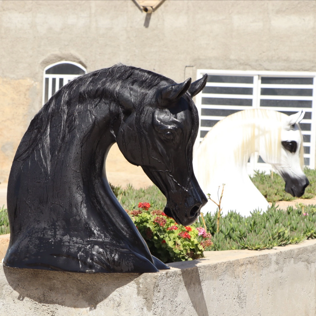 مجسمه رو ستونی سر و گردن اسب عرب بزرگ هوسپا