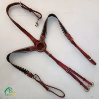 تعلیمی کشی