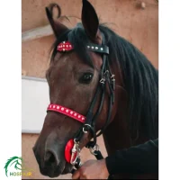 سر کله گیر دستجلو چرمی مدل کمند اسب