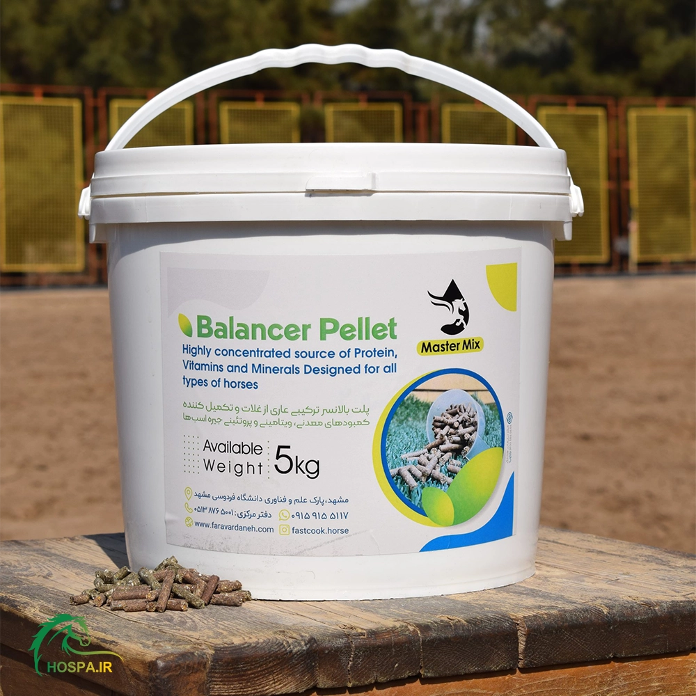 balancer-fastcook-scaled copy مکمل عضله ساز اسب – پلت بالانسر (Balancer)