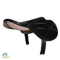 زین تمرین کورسی هوسپا دماوند