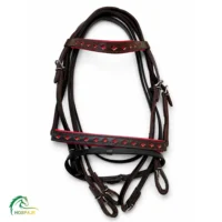 سر کله گیر دستجلو پد دار آریاسب